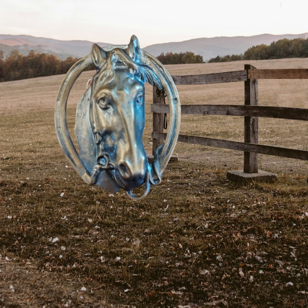 Vintage Horse Head Brooch Pin With Horseshoe Copper Jewelry Equestrian R... - $9.49