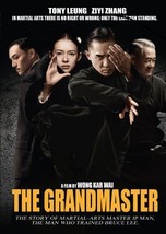 The Grandmaster Ip Man DVD Tony Leung, Zhang Ziyi, Hye-kyo English Subti... - $23.00