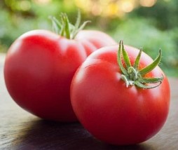 Marglobe Tomato Seeds - Organic &amp; Non Gmo Tomato Seeds - Heirloom Seeds - Fresh  - £1.79 GBP