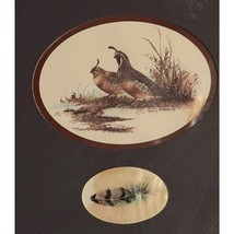 Quail Print Feather Royann H. Baum Framed California Game Birds Hunter READ - £11.46 GBP