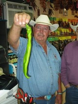15 Giant Big Jim Pepper Seeds Over 15Inch Possible Fresh Fast Shipping - $3.96