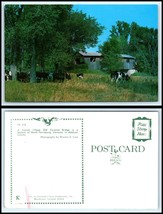 VERMONT Postcard - North Ferrisburg, Old Covered Bridge, Cows K15 - £2.53 GBP