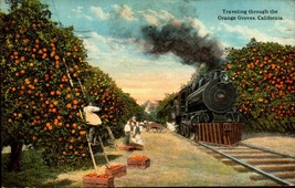 Postcard -1921 - View of Train traveling through the Orange Groves, CA BK49 - £3.89 GBP