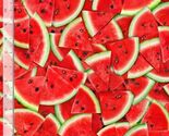 Cotton Fresh Fruit Watermelon Slices Fruits  Summer Fabric Print by Yard... - $15.95