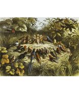 Decoration Poster.Home wall art.Room design.Fairy &amp; Birds.Mystical decor... - $16.20+