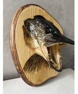 Taxidermy Realistic Stuffed Pike Head on Medallion Home decor - £112.72 GBP