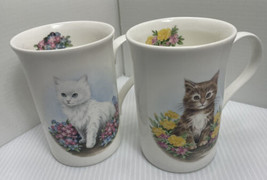 Crown Trent Fine Bone China Mug Staffordshire England Kittens Cats Playing - £9.74 GBP