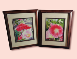 Framed Bumble Bee Pink Hibiscus Print Flower 13&quot; x 16&quot; Matted Glass Apiary  - £11.69 GBP