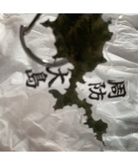 Suo-Oshima Acrylic Keychain - $534.99 MXN