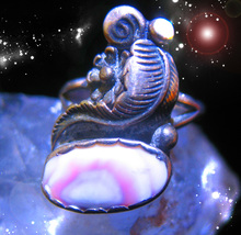 Haunted shell ring thumb200