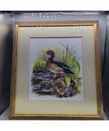Wood Duck Print Artist Edition #2 Of 300 W/ Signed Letter From Michael D... - £38.79 GBP