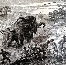Elephant Tribal Hunting Spears 1890 Woodcut Victorian Stanley In Africa DWAA2D - £31.96 GBP