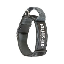 Julius-K9 Color and Gray Series K9 Collar with Closable Handle, 40 mm x ... - $40.00