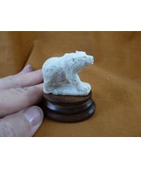 (bear-136) walking bear cub of shed ANTLER figurine Bali detailed Arctic... - $68.24