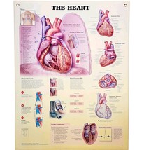 1999 Heart Anatomical Chart Laminated Poster Medical Hospital Diagram Vt... - $49.99