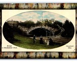 Bridge At Rockefeller Park Cleveland Ohio OH UNP DB Postcard T3 - $4.42