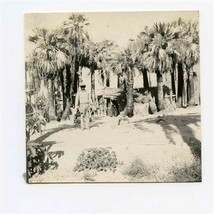 Mexico Man Holding 2 Mountain Sheep Skulls Hacienda and Palm Trees Photo 1900&#39;s - $94.19