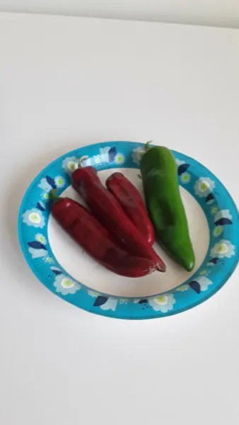 100 Anaheim Chili Pepper Seeds Hot Non Gmo Open Pollinated Fresh Garden - £5.47 GBP