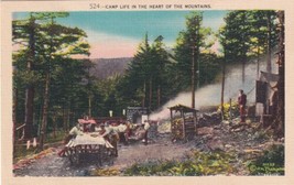 Camp Life Great Smoky Mountains Dining Cooking Fire Postcard E04 - £5.58 GBP