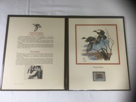 1983 US Duck Stamp Collectors Panel RW50 Signed Balke 626/800 Fleetwood Album 11 - $52.22