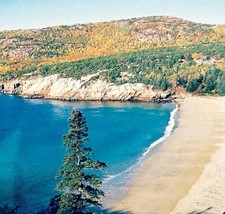 2000s Acadia National Park Maine Postcard Sand Beach Coastal View E86RP3 - $369.57 MXN