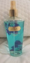 Lost in fantasy vs  95% full - $25.00
