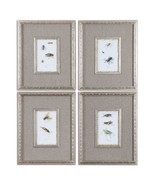 Uttermost 41536 Insect Study Framed Wall Art Glass Antiqued Silver Set of 4 - $2,993.15 MXN