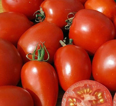 BPA Amish Paste Tomato Seeds 20 Indeterminate Garden Vegetables Sauce From US - £7.18 GBP