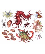 Realistic Gross Zombie-TEMPORARY FAKE TATTOOS-Punk Cosplay Costume-BUG C... - €1,67 EUR