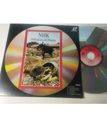 Nhk Pobladores Del Planète Éléphant Asiatique Mapaches Osos Marins Laser... - $40.36 CAD