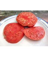 VC Black Tomato Seeds 50 Seeds Grow Your Own Food Exotic Black Tomatos U... - $24.39 CAD