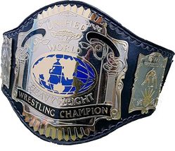 kza brad&#39;s Cutomised WCCW CWA CWF AWA Unified World Heavyweight Wrestlin... - £77.06 GBP