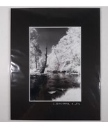Black Mat Photo Landscape Park Infrared Photography Limited Ed 2/2 Signe... - $19.40