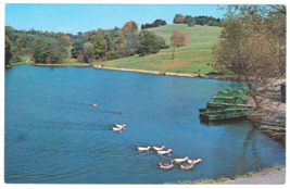 Vtg Postcard-Schenk Lake-Oglebay Park-Wheeling WV-Birds, Landscape-Chrome-WV1 - £8.86 GBP