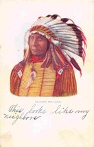 Chief Red Cloud Native American Indian 1905c postcard - £7.87 GBP