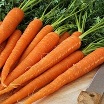 US Seller Tendersweet Carrot Seeds - $12.70