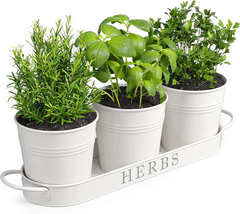 Barnyard Designs Indoor Herb Garden Planter Set with Tray Metal Windowsi... - £22.49 GBP