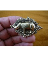 (b-rhino-1) RHINO rhinoceros Safari Africa I love pin brass brooch lover... - $24.87 CAD