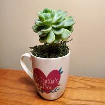 Valentines Mug with Succulent, Valentines Day Decor, mug garden gift image 4