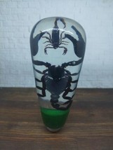 Underwater REAL Scorpio Scorpion Taxidermy Gear Shift Knob Acrilyc Resin... - $126.23