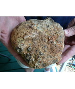 (DF844-144) 3 lb Fossil REAL DINOSAUR POOP Coprolite Dino DUNG Poo Scat ... - €65,66 EUR