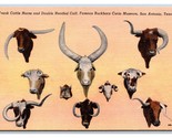 Freak Cattle Horn Buckhorn Curio Museum San Antonio TX UNP Linen Postcar... - $3.91