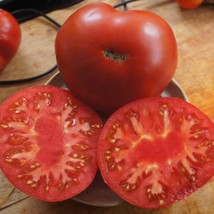 New Fresh Mark Twain Tomato Organic - £4.08 GBP