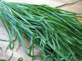 Garlic Chives (Allium tuberosum) Chinese Chives Jiu cai Vegetable USA 25... - £3.84 GBP