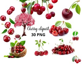 Cherry clipart, Kersen Clipart Bundel - 30 Fruit PNG Afbeeldingen,  Cher... - £1.77 GBP