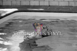 Julie Newmar &quot;Catwoman&quot; Topless In Pool 1960&#39;s Original Photo Negative - £86.04 GBP