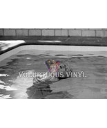 Julie Newmar &quot;Catwoman&quot; Topless In Pool 1960&#39;s Original Photo Negative - £87.72 GBP