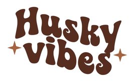 Husky Vibes Vinyl Decal Sticker UV &amp; Water Proof Water Bottle Bumper Win... - $109.41 MXN