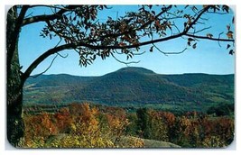 Oneonta New York Catskills Postcard - £34.95 GBP