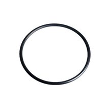 IPW Industries Inc-Autotrol (1010428) O-ring 1&quot; Distributor - $70.76 MXN